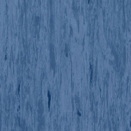 STANDARD 493