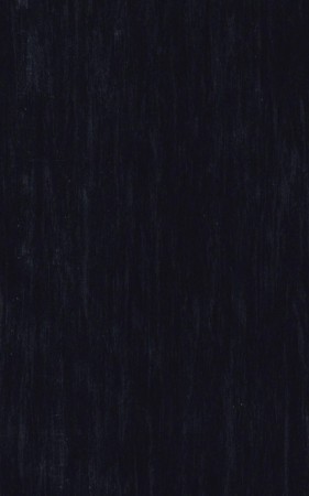 21003500 BLACK