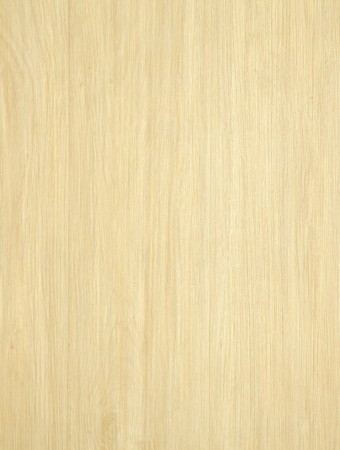 TRADITION 331500