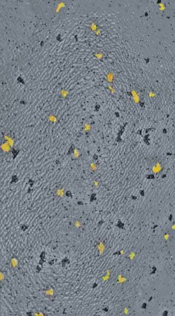 Gerflor - 8962