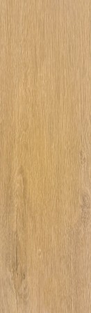 Surprise 1232 - 42084955