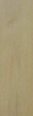 Premium Rigin 50 - 578