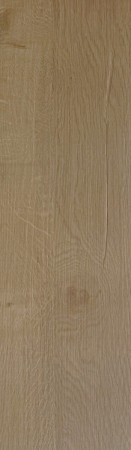 Premium Rigin 50 - 357