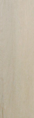 Premium Rigin 50 - 555