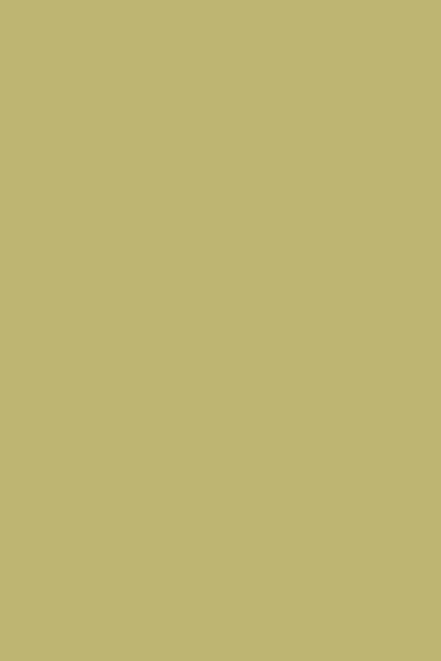UNI INTENSE OLIVE 938