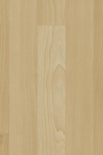 BEECH LONGSTRIPE LIGHT 102