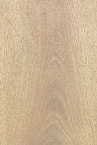 Surprise - 42073901 Summer Oak
