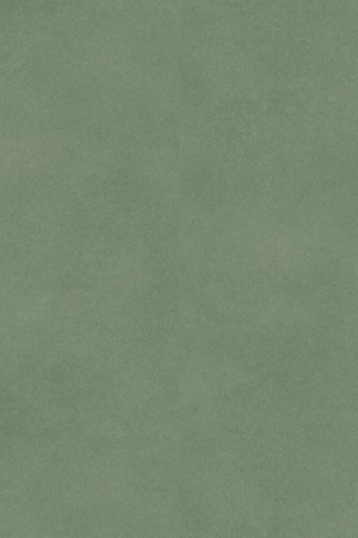 Inspiration 55 - 24522086 Fibra Green