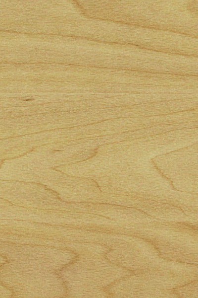 Gerflor Sport - 6381 Maple