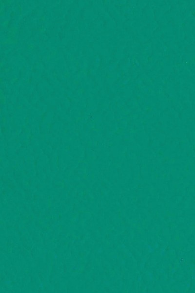 Gerflor Sport - 6431 Teal