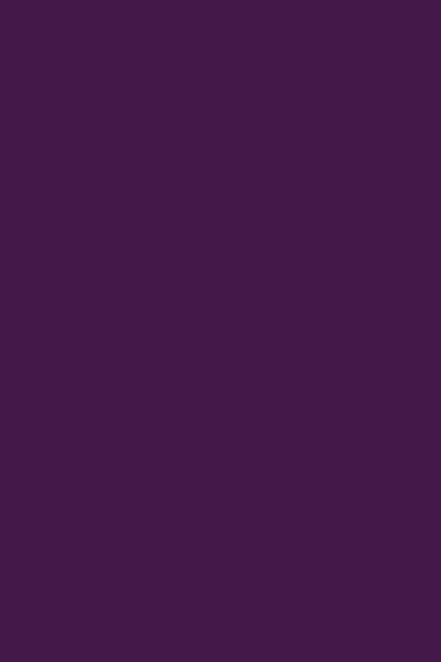 Omnisports - Uni Puple