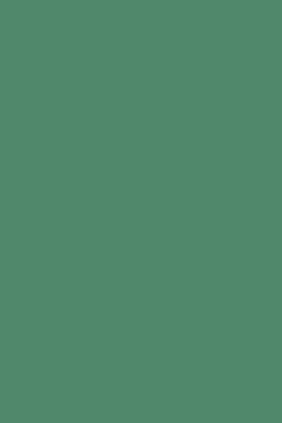Omnisports - Uni Mint Green