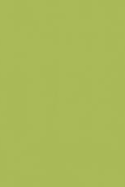 Exclusive 200 - 27038011 (2M) Lime