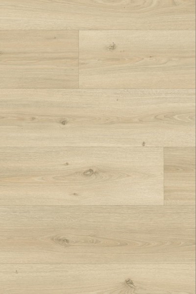 Iconik 280Τ - 240008018 Powell Oak Blonde