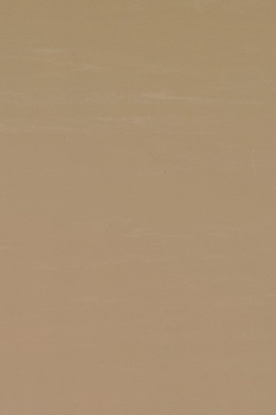 Dalflex - 207 Somon.jpg
