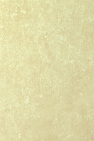 Tropical - 5574032 Costarica Beige Grey
