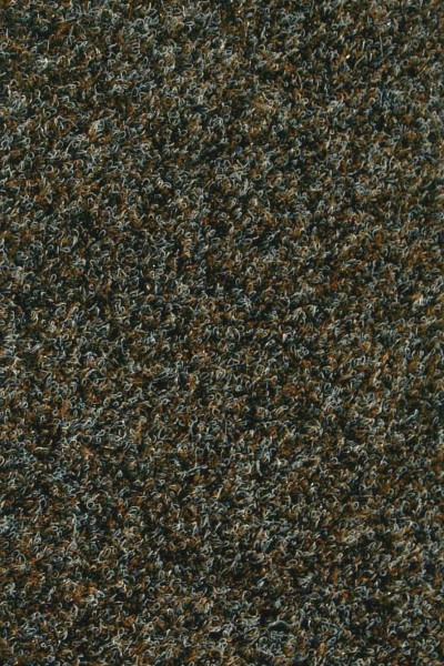 Taurus 601 Καφε