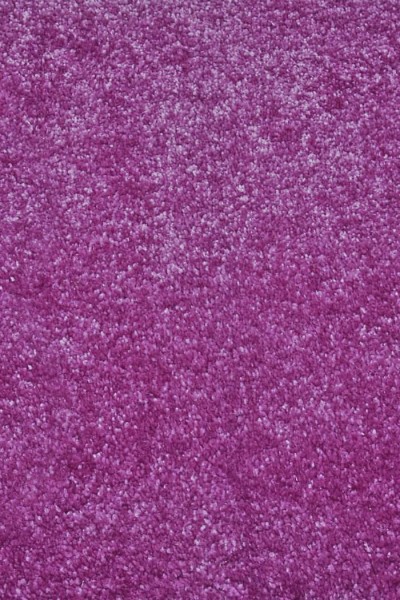 Genova Violet