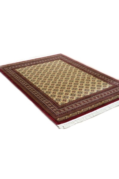 Cordoba 1649 Berber-Cherry