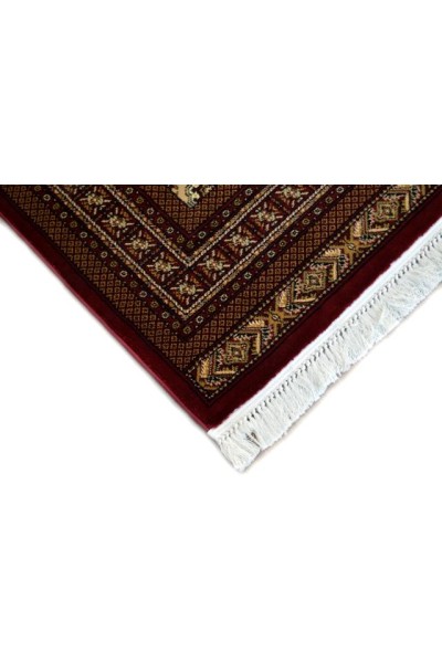 Cordoba 1649 Berber-Cherry