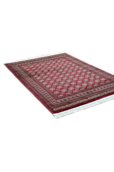 Cordoba 1649 Cherry