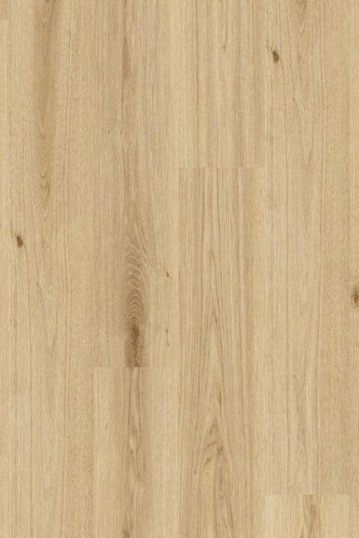 Essence 55 - 260053005 Primary Oak Light Brown