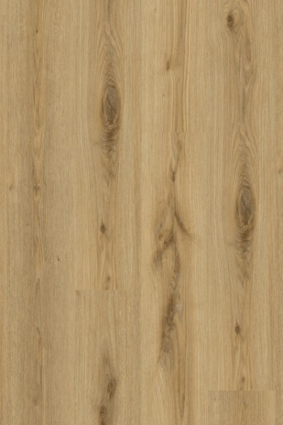 Essence 55 - 260053004 Primary Oak Natural