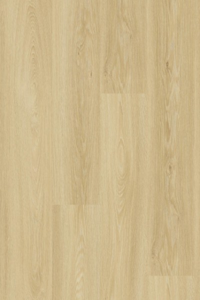 Essence 55 - 260053001 Cool Oak Classical