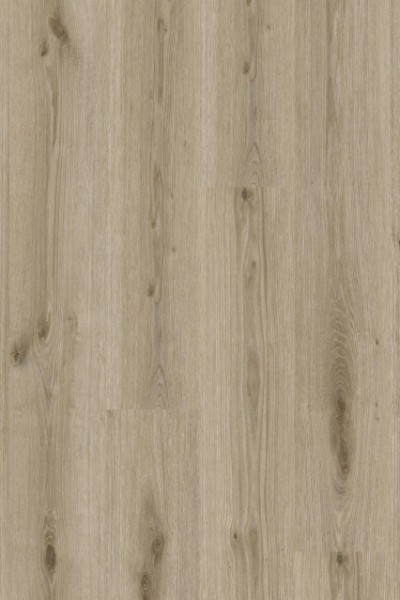 Living 55 - 280064006 Primary Oak Light Grey