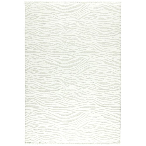 Florida 80-65 White-Cream