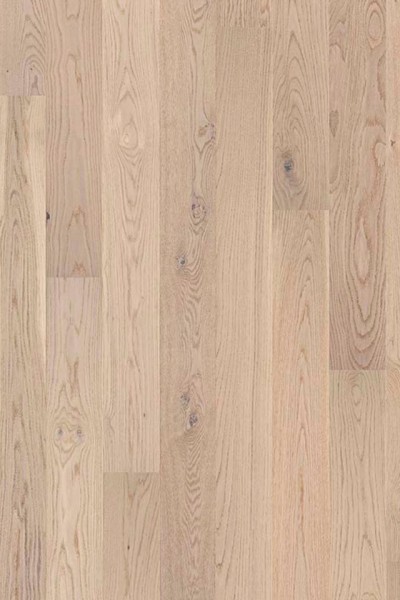 Shade Oak Antique White 7876949