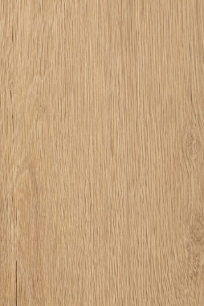 Surprise 1232 - 42084955 Premium Oak Nature
