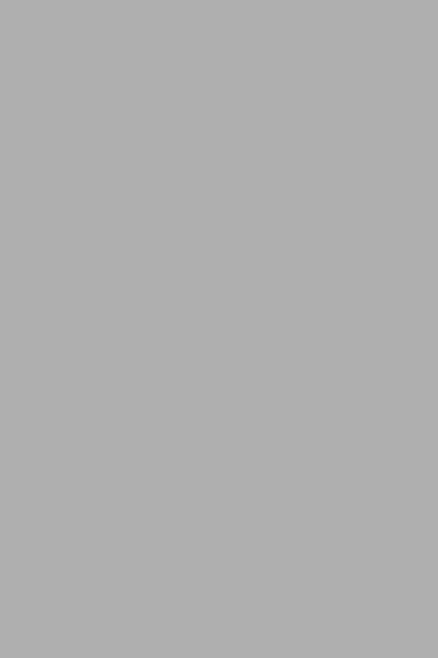 Omnisports - Uni Silver Grey